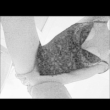 Profil de Bernardine, 39 ans, Plan Cul à Al Ḩarā’ib