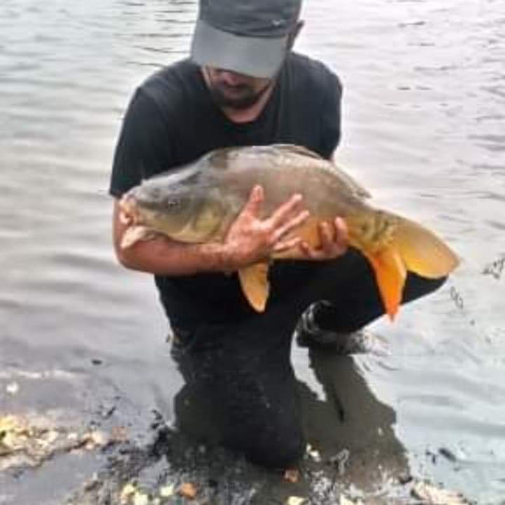 Profil de Naym, 36 ans, Plan Cul à ‘Ayn Ţanghāzī