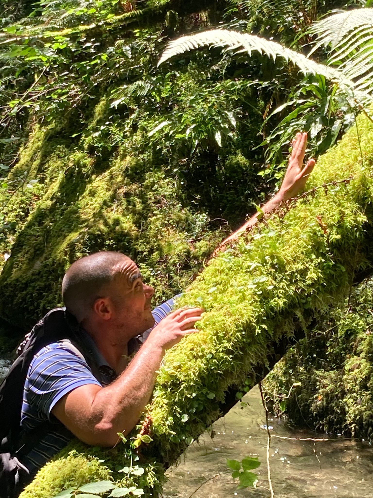 Profil de Hichame, 41 ans, Plan Cul à Wādī Umm Risays