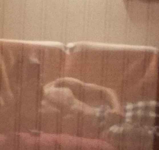 Profil de Evane, 22 ans, Plan Cul à Wâdî Garâra