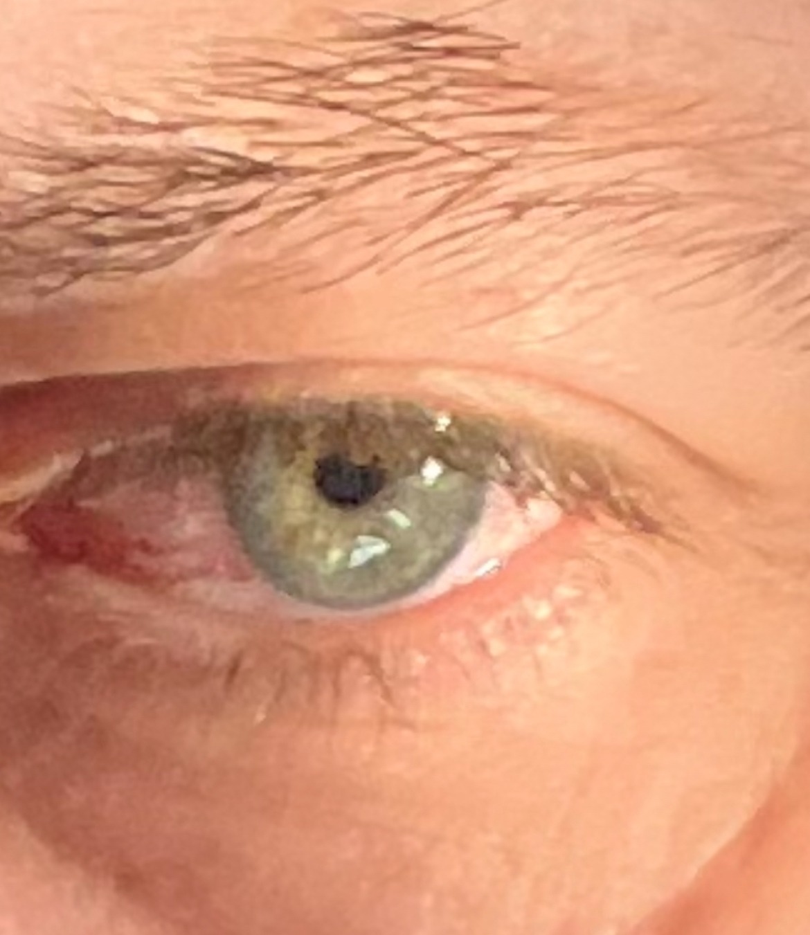 Profil de Souhil, 54 ans, Plan Cul à ‘Alīm